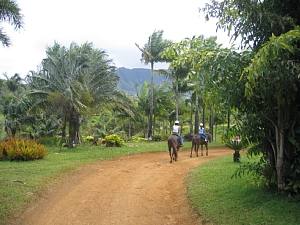 0422 horse ride 1.jpg